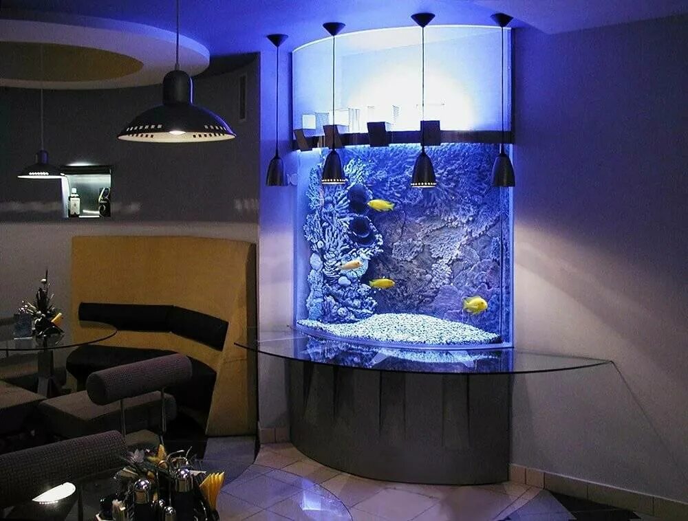Аквариум в интерьере. Дизайнерский аквариум. Угловой аквариум. Красивые аквариумы в интерьере.