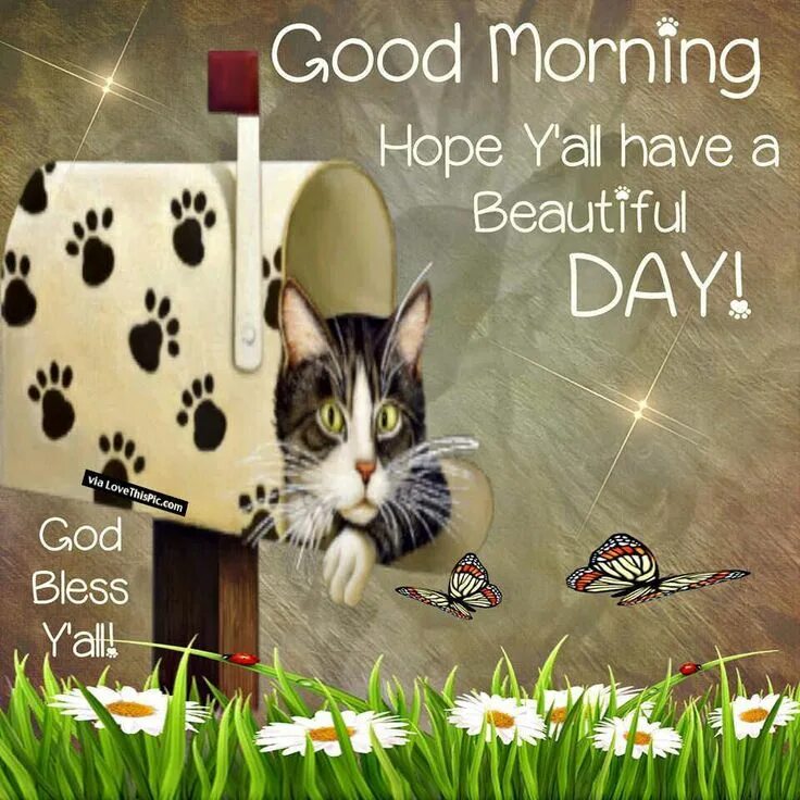 You have to be beautiful. Good morning have a beautiful day. good morning beautiful day. гуд морнинг кошки. good morning have a beautiful day картинки.