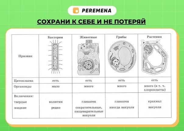 Егэ биология 8 задание. Шпаргалки по биологии ЕГЭ. ЕГЭ по биологии задания. Теория для ОГЭ по биологии. Теория для ЕГЭ по биологии.