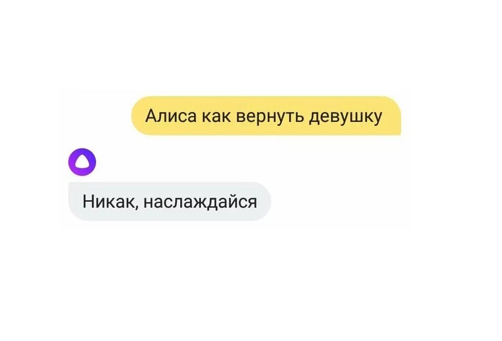 Смешные диалоги с Алисой. Смешные переписки с Алисой. Смешные ответы Алисы. Диалог с Алисой. Алиса скажи красиво