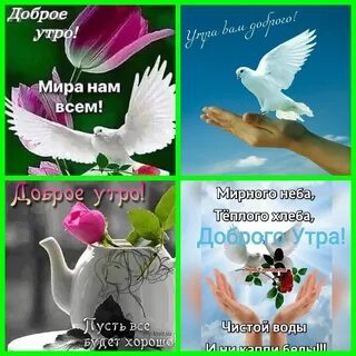 Вторник 31