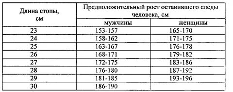 Какой размер считается средним
