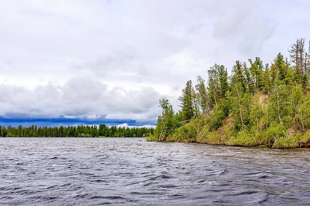 Толька (река). Река таз. Реки ЯНАО. Реки Ямало-Ненецкого автономного округа. Река в сибири на б