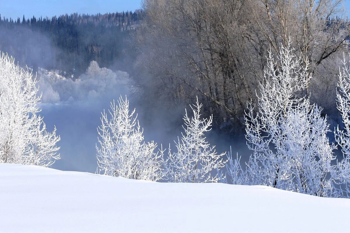 солнечный зимний день. солнце зимой. снежное утро. зимний день. снежное утро фото.