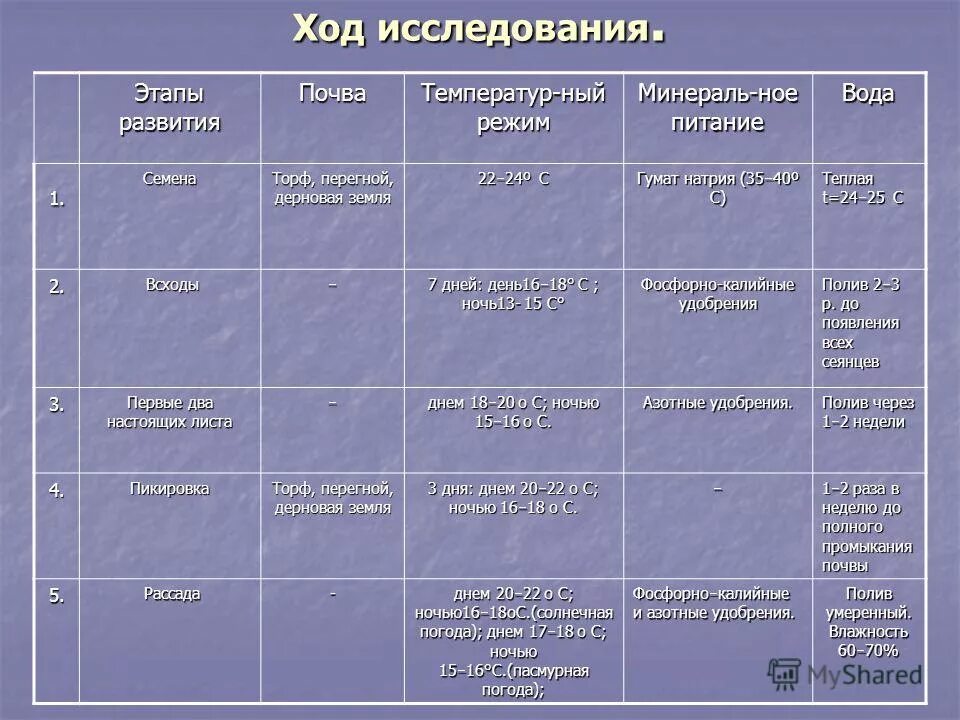 этапы формирования почвы