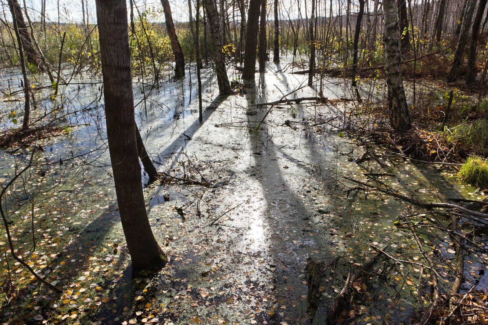слушать песню болото