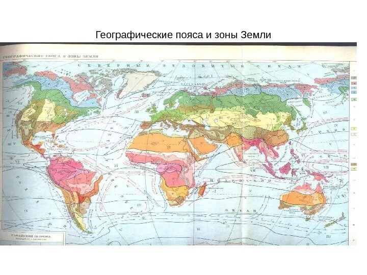 Географические пояса и зоны земли. Карта географических поясов и природных зон.