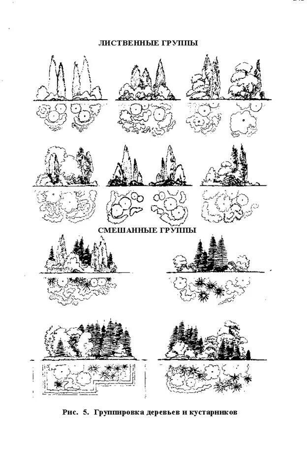 5 группа деревьев. Древесно кустарниковая группа схема посадки. Схемы групповых посадок кустарников. Схема древесно кустарниковых насаждений. Посадка древесно-кустарниковых растений.