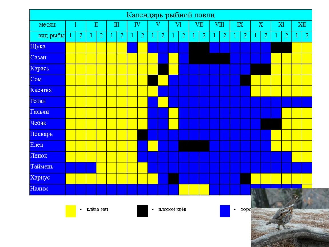 Рыбный календарь. Расписание рыбалки. Календарь рыбной ловли. Таблица клева.
