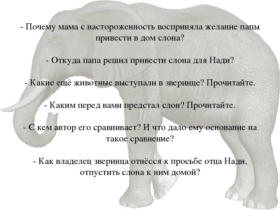 Слоников краткое. Вопросы по тексту слон Куприна 3. Куприн слон вопросы. Три вопроса по произведению Куприна слон. Вопросы к произведению слон Куприна.