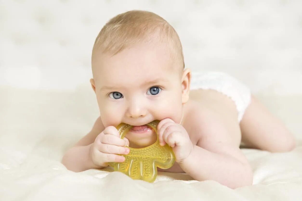 Timonitocka for baby. Baby we can see. Baby we can see. Baby we can see. Babay.
