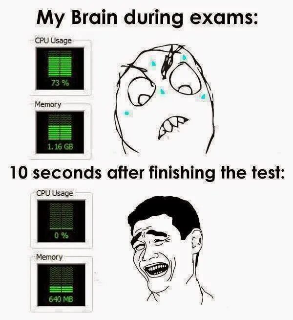 After finishing i. Тест Мем. Mem Exam. Usage Мем. Мемы про тесты.