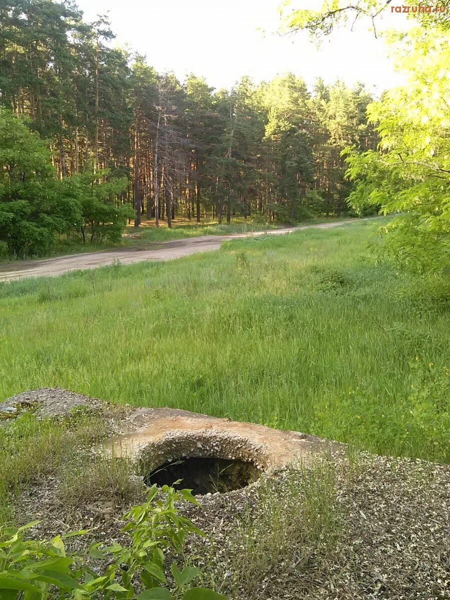 Люк курск. Лес КЗТЗ Курск. КЗТЗ Курск лес район. Курск лес канализация.