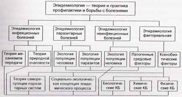 Структура эпидемиологии