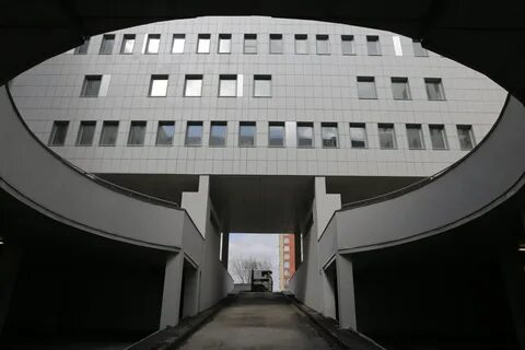 Перенатальный центр щелково регистратура