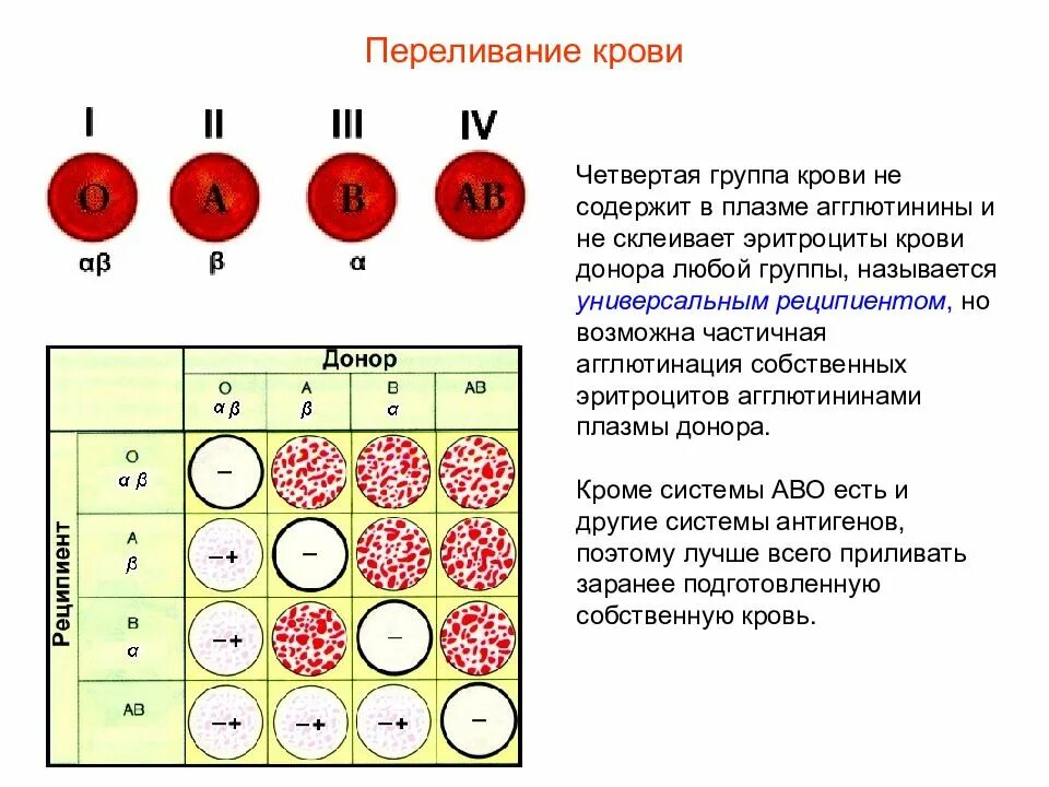 Сыворотка агглютинации 1 и 3 группы крови. Схема агглютинации ЕГЭ. Реакцию агглютинации клеток крови. Совмещение групп крови схема. Белки определяющие группу крови