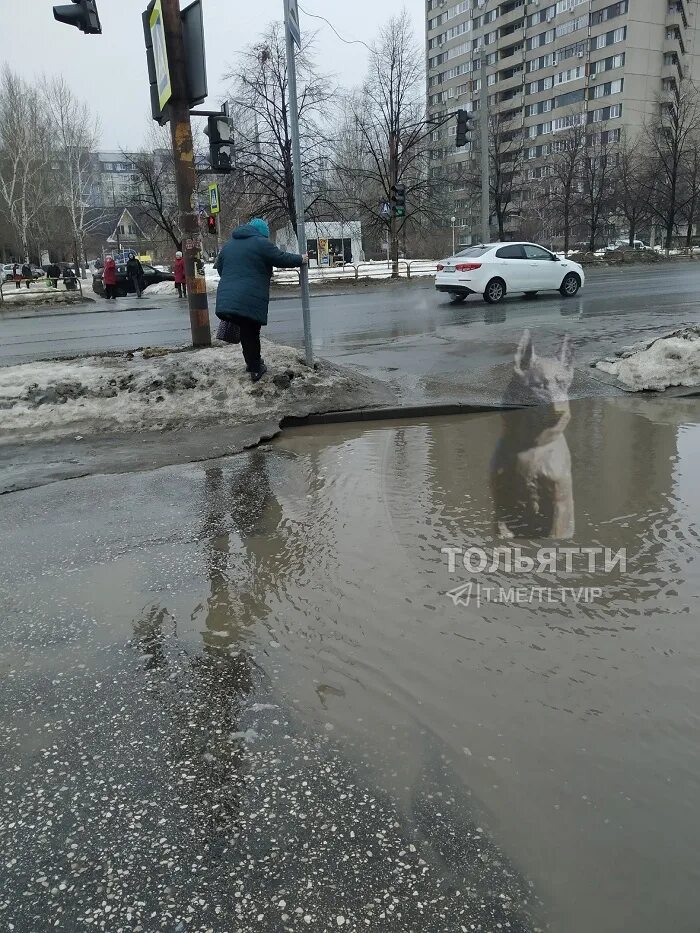 Грязный двор. Городской пейзаж тольятти. Тольятти пожаловаться. Смог в тольятти. Попрошайки тольятти.