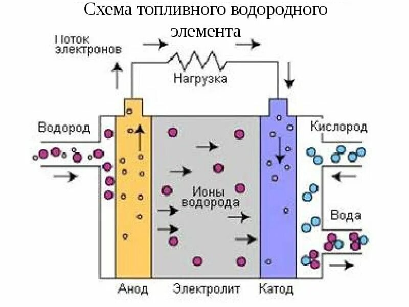 Топливные элементы - ячейка (fuel Cell). Топливный элемент с протонообменной мембраной. Топливный элемент с расплавленным карбонатным электролитом. Принцип работы топливного элемента. Водородная основа