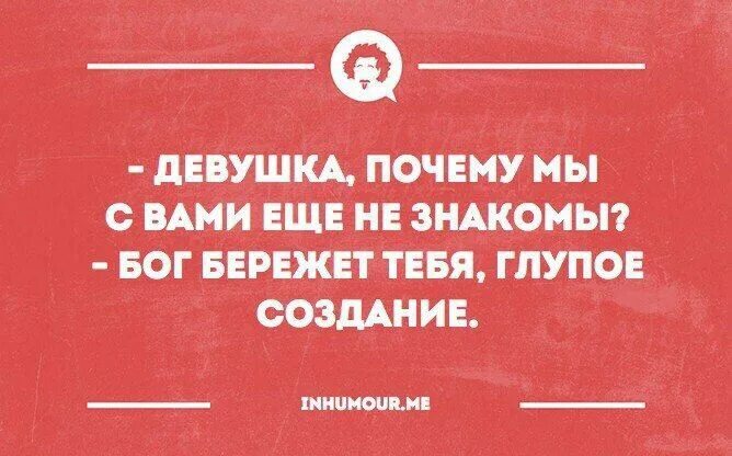 Глупый беречь. Бог бережет тебя глупое создание. Интеллектуальный юмор в картинках. Девушка почему мы с вами еще не знакомы Бог бережет. Интеллектуальный юмор для думающих людей.