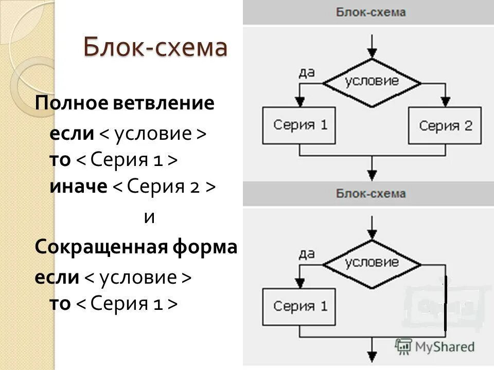 Полное неполное ветвление информатика