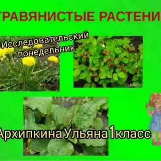 Травы примеры 2 класс