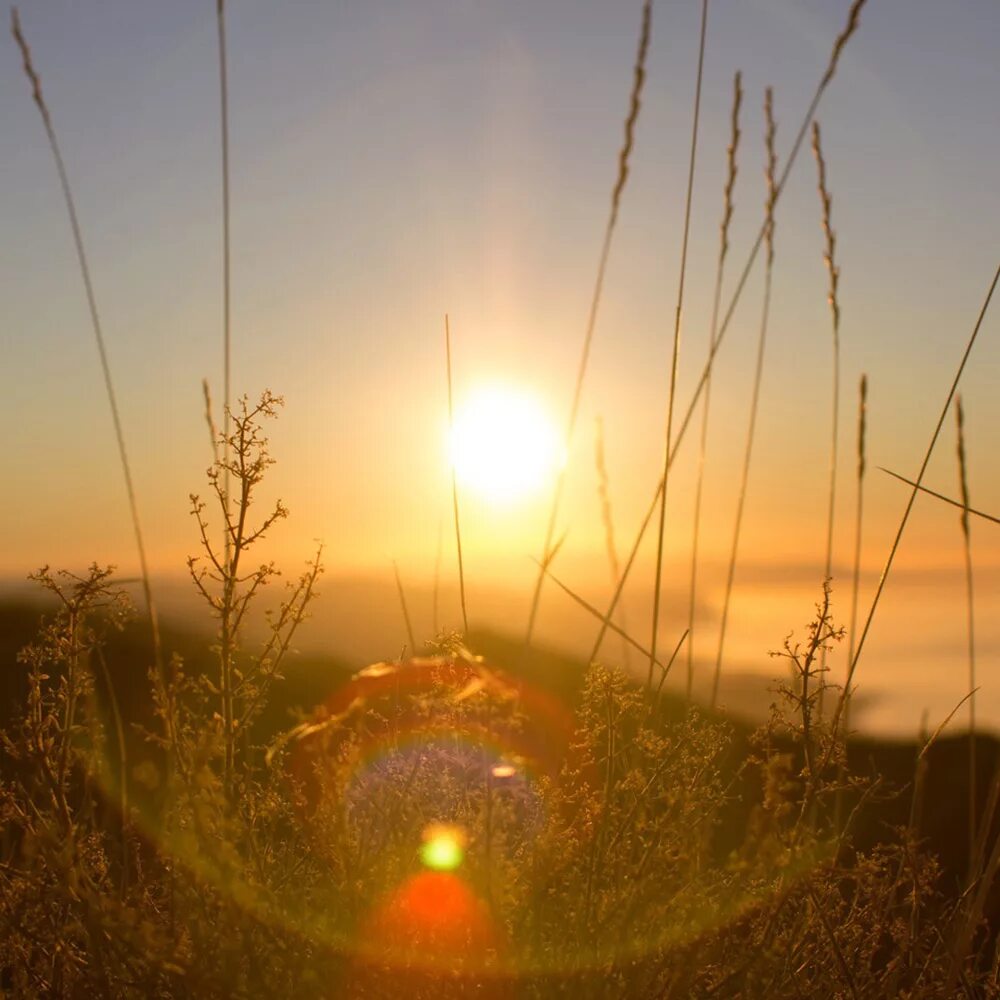 Блик от линзы. Блики при съемке. Блики при съемке. Пресеты блики. Фотосессия свадебная блики.