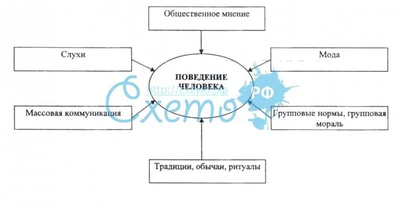 Схема поведения человека. Схема на тему поведение человека. Поведение человека таблица. Схема поведения в психологии.