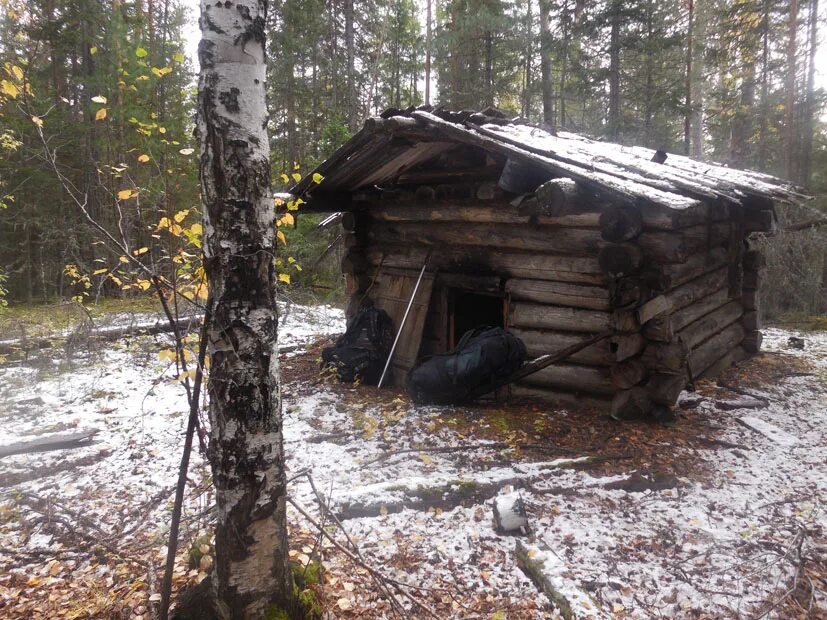 Избушка зимовье землянка охотника. Ханинское зимовье Олхинское плато. Зимовье в лесу.