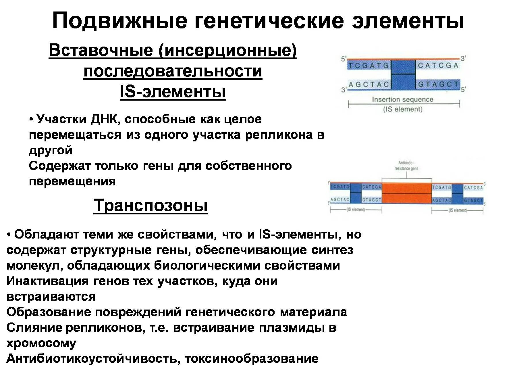 Is элементы. Подвижные генетические элементы: транспозоны, is-элементы.. подвижные генетические элементы бактерий. подвижные генетические элементы бактерий их роль. подвижные генетические элементы их роль в эволюции бактерий.