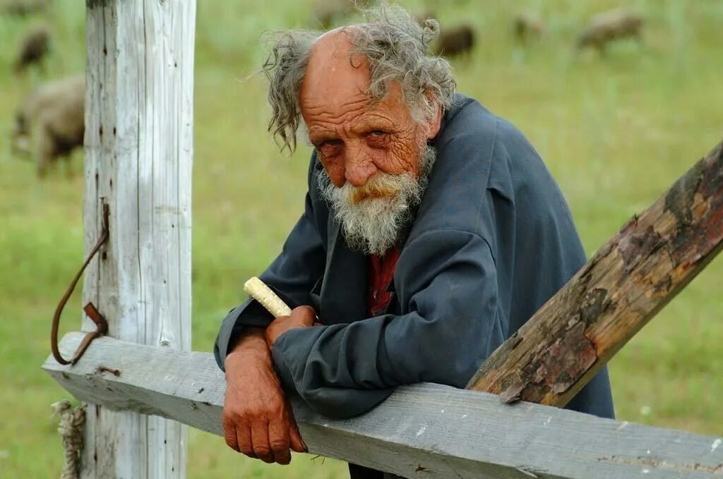 игра hello neighbor 2 alpha 1. деревенские жители. сосед старый дед. старики в деревне. Hello neighbor игра.