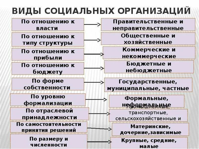 Виды социальных организаций. Виды и типы социальных организаций. Примеры основных типов социальных организаций. Виды общественных учреждений. Состав социальных учреждений