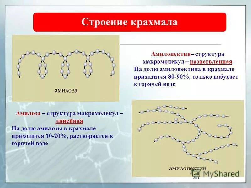 Строение молекулы крахмала и целлюлозы. Строение полимерной цепи крахмала. Строение крахмала химия. Структура макромолекул крахмала. Строение макромолекулы амилозы.