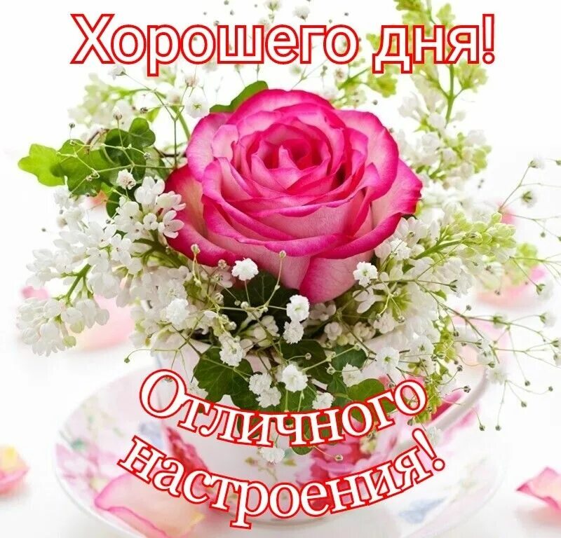 Pin by Оксана Кузнецова on Доброе утро Flowers, Good morning gif, Rose