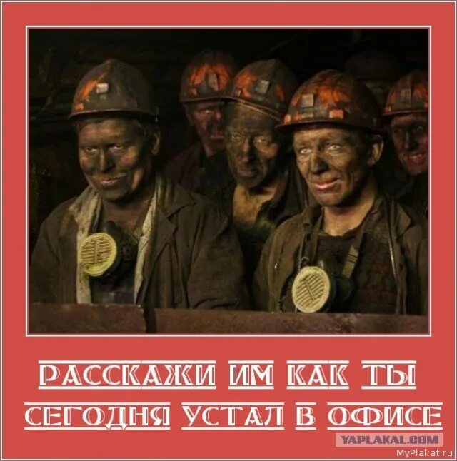 Демотиваторы расскажи им. Устал в офисе. Скажите этому идиоту что если он выстрелит. Расскажи им как тебе тяжело. Расскажи ему.