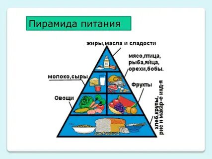 Составить пирамиду питания