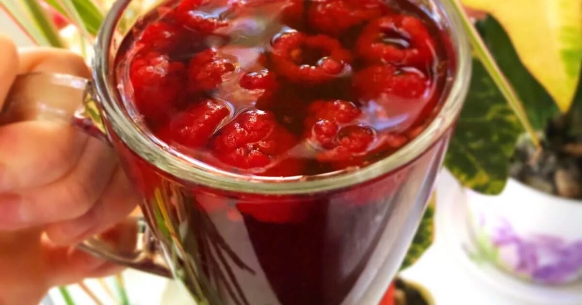 замороженный ягодный чай. Nordic tea облепиха апельсин. замороженный ягодный чай. чай мороженое на палочке. нордис теа.