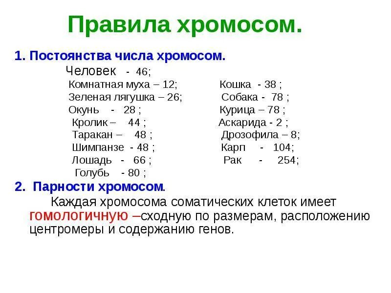 Сколько хромосом имеет половая клетка. Хромосомы у животных таблица. Количество хромосом. Количество хромосом у разных видов организмов. Количество хромосом у разных животных.