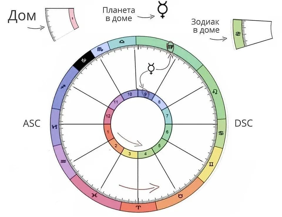 Натальная карта. Дома в натальной карте. Схема натальной карты. Натальная карта с домами. Дом денег в натальной