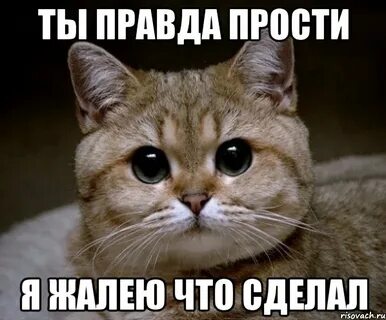 Я был дурак прости