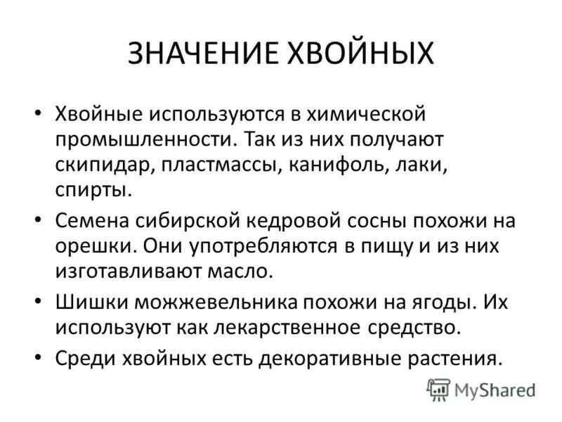 Значение семенных растений в природе. Значение хвойных. Значение хвойных растений в природе и жизни человека.