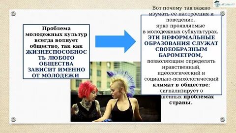 Профилактика молодежных субкультур