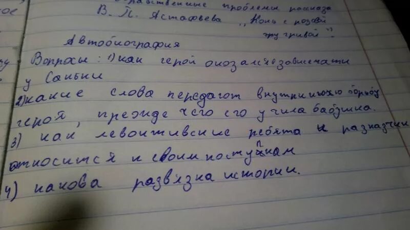 Сочинение по произведению конь с розовой гривой. Сочинение конь с розовой гривой 6 класс. Сочинение по рассказу конь с розовой гривой. Темы сочинений по рассказу конь с розовой гривой 6 класс.