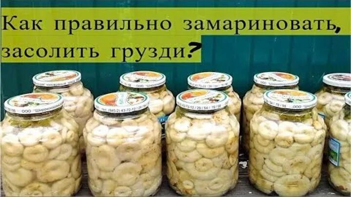 Как правильно чистить грибы грузди. Грузди соленые. грузди белые солёные. грузди соленые этикетка. грузди маринованные.