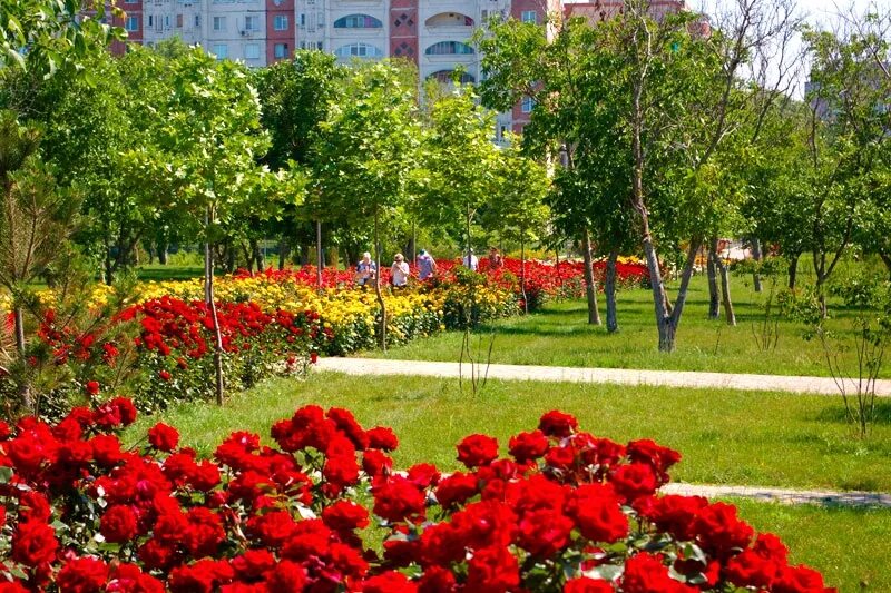 ореховая роща анапа. парк ореховая роща. парк ореховая роща. ореховая роща анапа. анапа ореховая роща осенью.