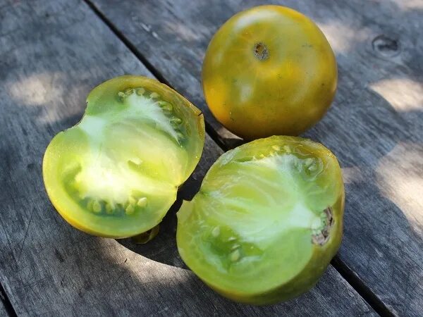 помидоры царевна лягушка описание сорта фото отзывы. гавриш томат лягушка-царевна. томат царевна лягушка. томат царевна лягушка зеленоплодный. томат зеленая лягушка.