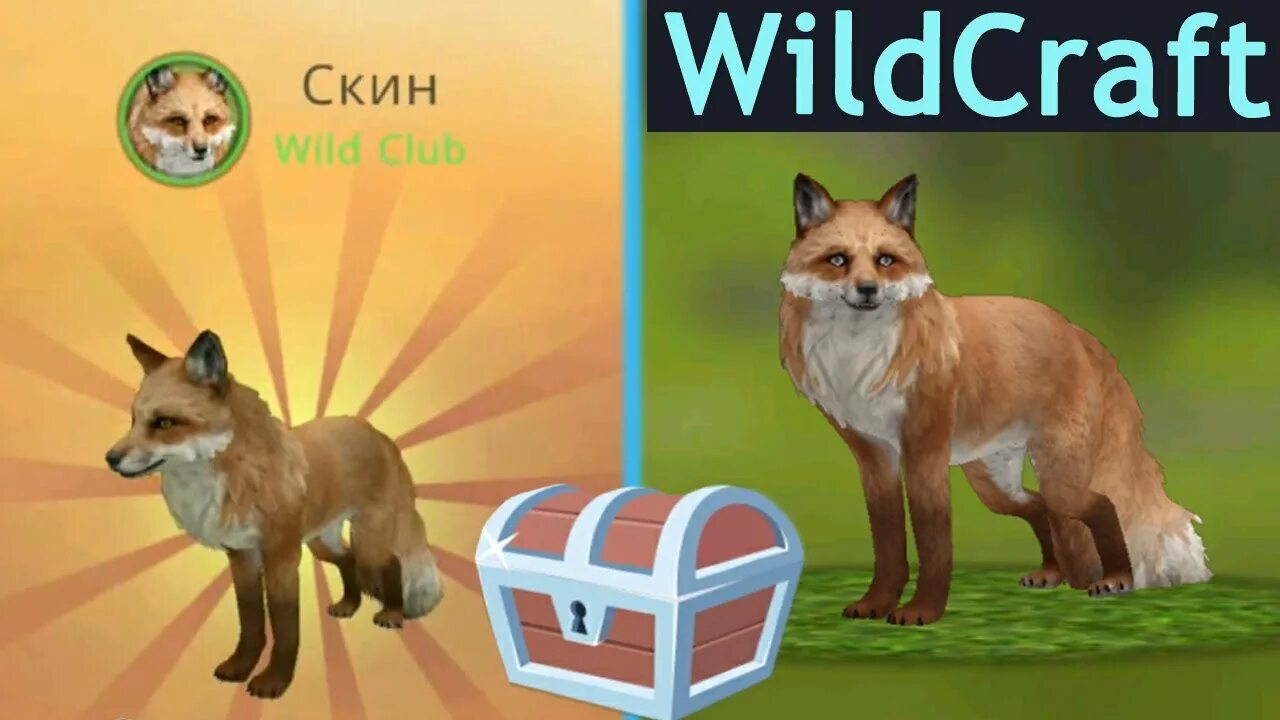 Вилд крафт скины. WILDCRAFT Wild Club скины. Вайлд крафт скины на лису. Лиса клуб вилд крафт. Клаб скин на лису вайлд.