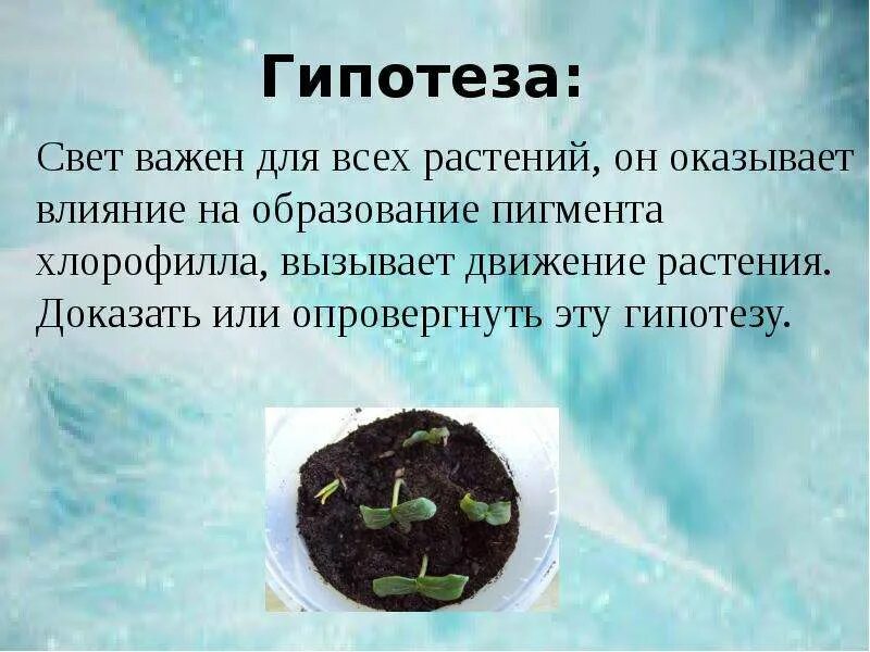 Листья гипотеза