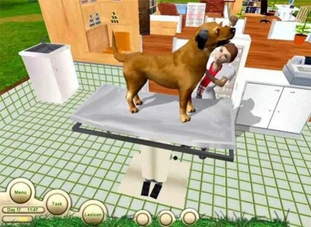 Играть лапки. Игра Paws and Claws Pet vet 3. Pet vet Clinic игра. Звери, птицы и больница (Paws & Claws Pet vet). Pet vet 2 (лапы и когти: ветеринар 2).