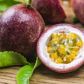 Миртовый тропический фрукт 5 букв