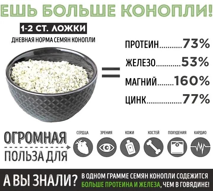 Сколько протеина в столовой ложке. Семена конопли витамины. Витамины в семечках конопли. Содержание витаминов в семенах конопли. Ядра семян конопли.